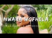 Makhadzi - Nwaha Wofhela Ft. Shebeshxt