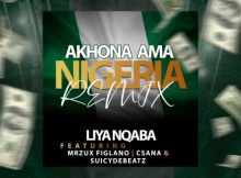 Akhona ama Nigeria Song