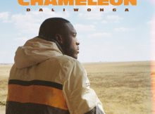 Album: Daliwonga - Chameleon Mp3 Download