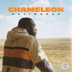 Album: Daliwonga - Chameleon Mp3 Download