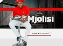 Mjolisi – Umkami Usengalile