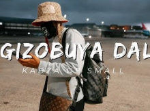 Ngizobuya Dali - Kabza De Small And ShaSha ft Nkosazana Daughter & Dj Maphorisa, Young Stunna 2024