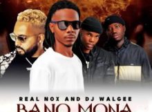 Real Nox ft DJ Walgee, Daiza & Kota Native – Bano Mona