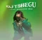 Dj Tshegu – Long Weekend Mix